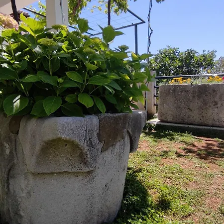 Kola With Balcony Apartament Banići